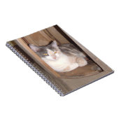 Meow Cats 33 Notebook Notizblock (Rechte Seite)