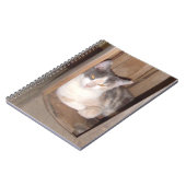 Meow Cats 33 Notebook Notizblock (Linke Seite)