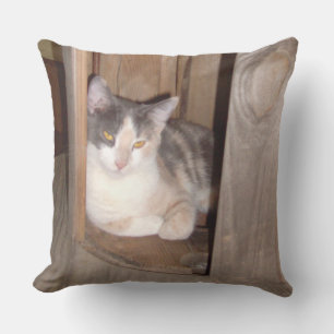 Meow Cats 33 Square Throw Kissen
