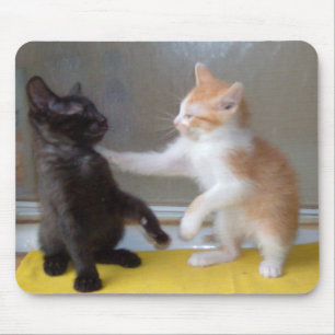 Meow Cats 34 Mousepad