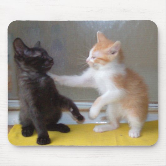 Meow Cats 34 Mousepad (Vorne)
