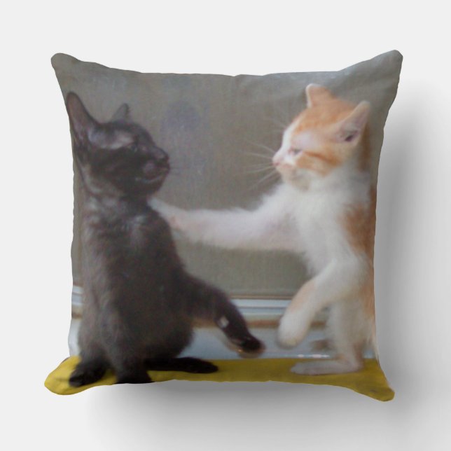 Meow Cats 34 Square Throw Kissen (Vorderseite)