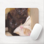 Meow Cats 38 Mousepad (Mit Mouse)