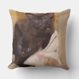 Meow Cats 38 Square Throw Kissen