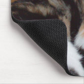 Meow Cats 39 Mousepad (Ecke)