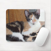 Meow Cats 39 Mousepad (Mit Mouse)