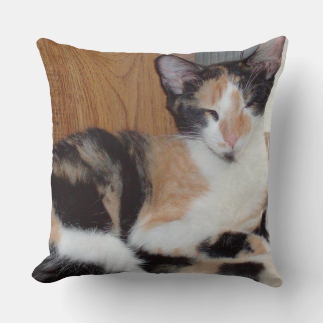Meow Cats 39 Square Throw Kissen (Vorderseite)
