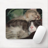Meow Cats 3 Mousepad (Mit Mouse)