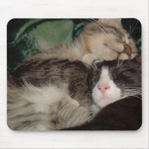 Meow Cats 3 Mousepad