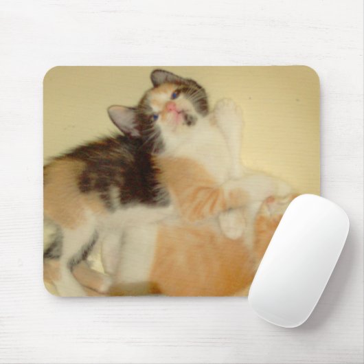 Meow Cats 5 Mousepad (Mit Mouse)