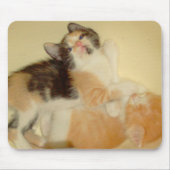 Meow Cats 5 Mousepad (Vorne)