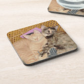 Meow Cats 6 Untersetzer Set (Linke Seite)
