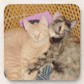 Meow Cats 6 Untersetzer Set (Vorderseite)