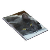 Meow Cats 8 Notebook Notizblock (Rechte Seite)
