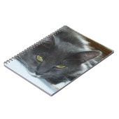 Meow Cats 8 Notebook Notizblock (Linke Seite)