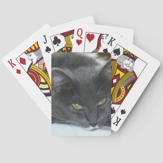 Meow Cats 8 Playing Cards Spielkarten (Rückseite)