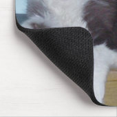Meow Cats 9 Mousepad (Ecke)