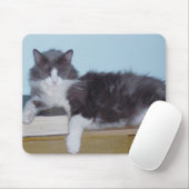 Meow Cats 9 Mousepad (Mit Mouse)