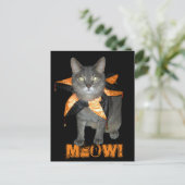 Meow Costume Cat Postkarte (Stehend Vorderseite)