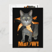 Meow Costume Cat Postkarte (Vorne/Hinten)