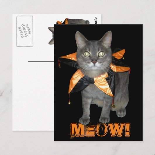 Meow Costume Cat Postkarte (Vorne/Hinten)