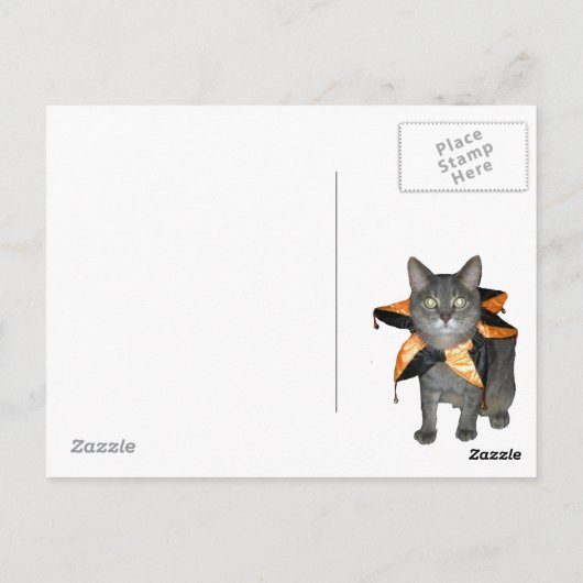 Meow Costume Cat Postkarte (Rückseite)