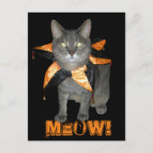 Meow Costume Cat Postkarte (Vorderseite)