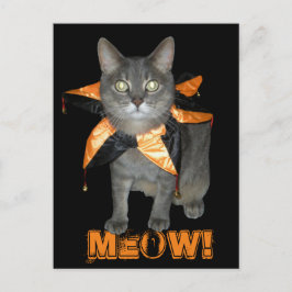Meow Costume Cat Postkarte