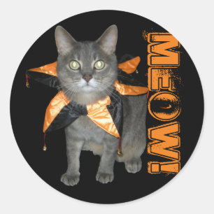Meow Costume Cat Runder Aufkleber