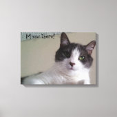 Meow dort wunderschönes Kitty Cat Portrait Leinwanddruck (Vorderseite)