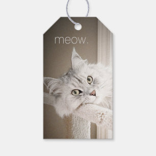 Meow-Geschenk-Umbauten Geschenkanhänger