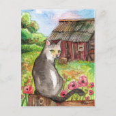 Meow in der Scheune Postkarte (Vorderseite)