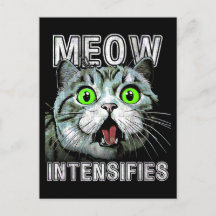 Meow intensiviert Funny Scottish Fold Cat