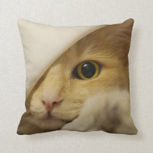 MEOW! Katze, die PeekaboKISSEN spielt Kissen