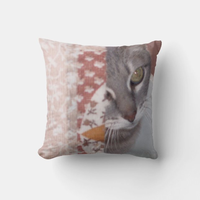 Meow Katzen 13 Kissen (Vorderseite)
