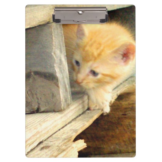 Meow Katzen 1 Zwischenablage Klemmbrett (Vorderseite)