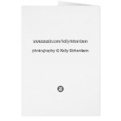 Meow + Mew Kitten (Hinten)