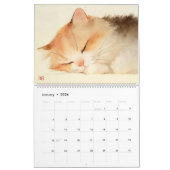 Meow Moods: Adable Wasserfarbkatzen Kalender (Jan 2026)