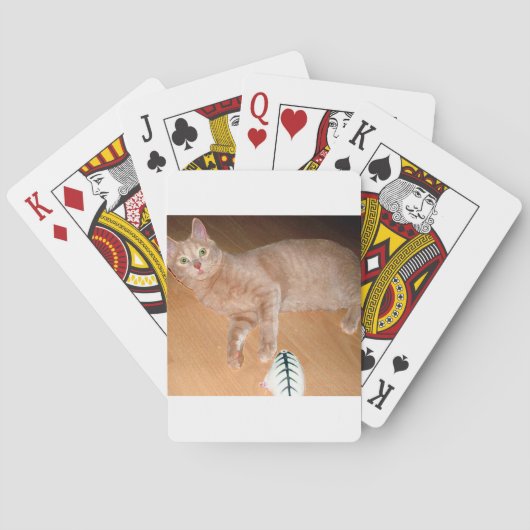 MEOW SPIELKARTEN (Rückseite)