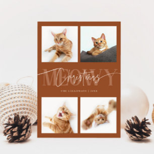 Meowa Christmas Cat Fotos Terracotta Weihnachten