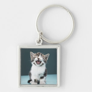 Meowing Kätzchen Schlüsselanhänger