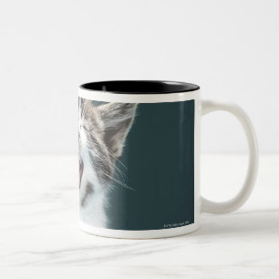 Meowing Kätzchen Zweifarbige Tasse