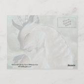 Meowl 2 cat owl postcard postkarte (Rückseite)