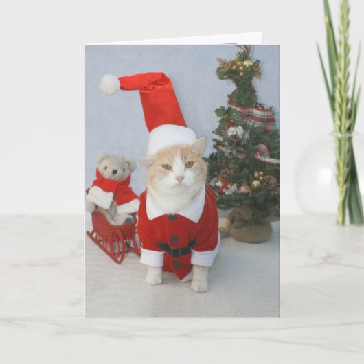 MEOWry Weihnachten! Feiertagskarte (Vorderseite)