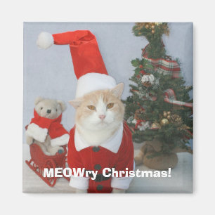 MEOWry Weihnachten! Magnet