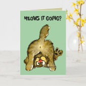 Meows es gehend? Cartoon-Katzen-Gruß-Karte Karte (Gelbe Blume)
