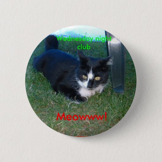 Meowww! Mittwoch Abend Verein Button (Vorderseite)