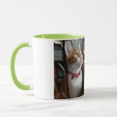 Meowww Tasse (Links)