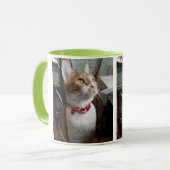 Meowww Tasse (Vorderseite Links)