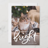 Meowy and Bright Cat Foto Feiertagskarte (Vorderseite)